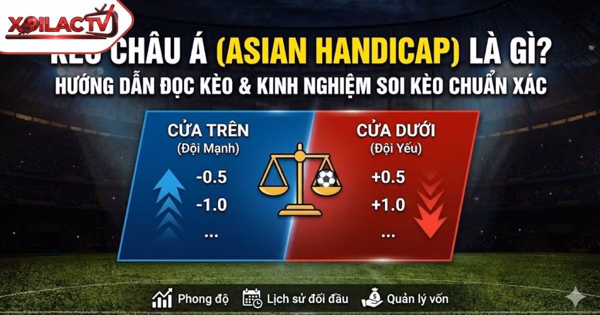 Kèo Châu Á (Asian Handicap) Là Gì? Hướng Dẫn Cách Đọc Kèo & Kinh Nghiệm Soi Kèo